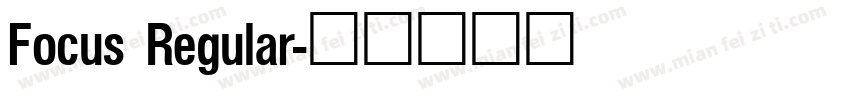 Focus Regular字体转换